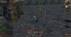 Shot00014.jpg